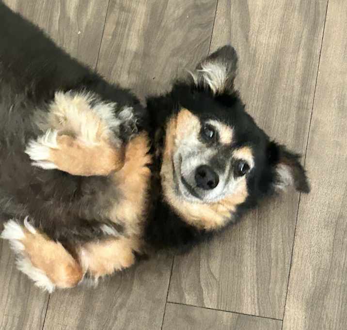 Photo of Sophie