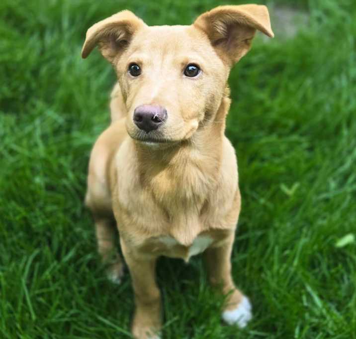 Photo of Kevin