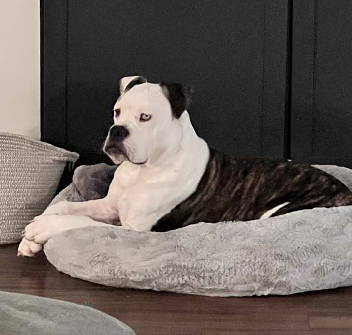 Photo of Maverick