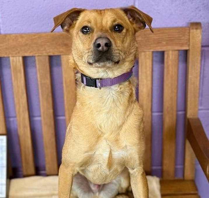 Photo of **TRIPP**