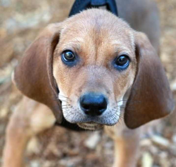 Photo of Evan