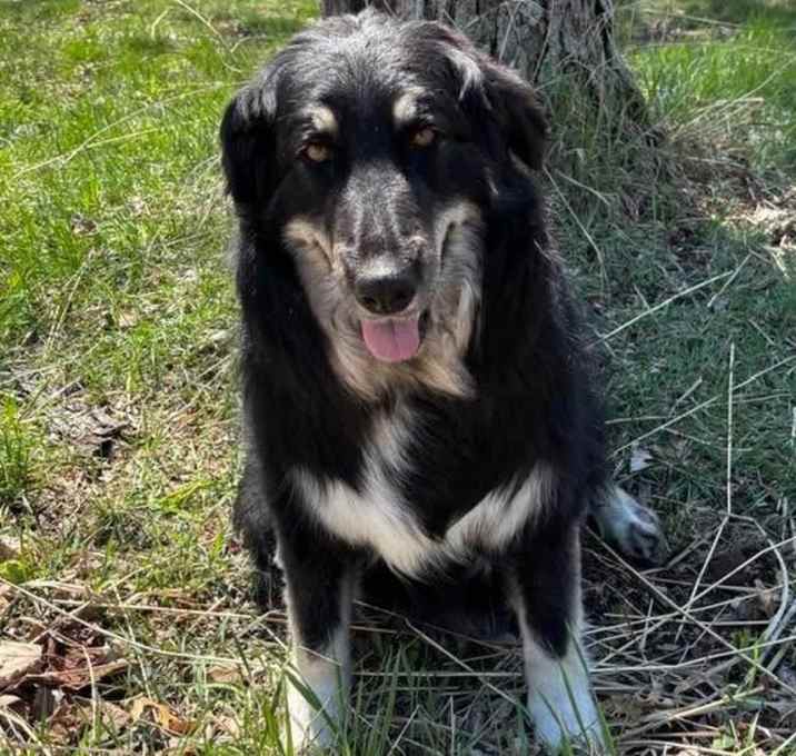 Photo of Belle