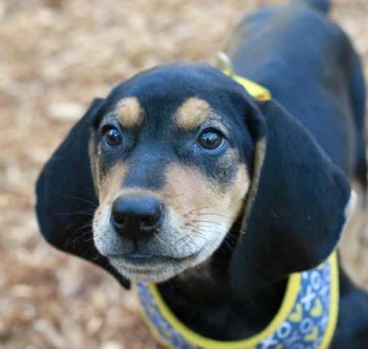 Photo of Edison