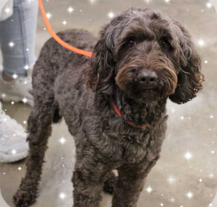 Photo of Winnie