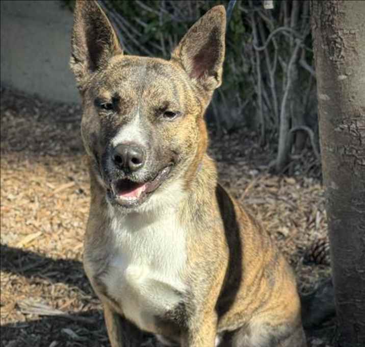 Photo of MILO