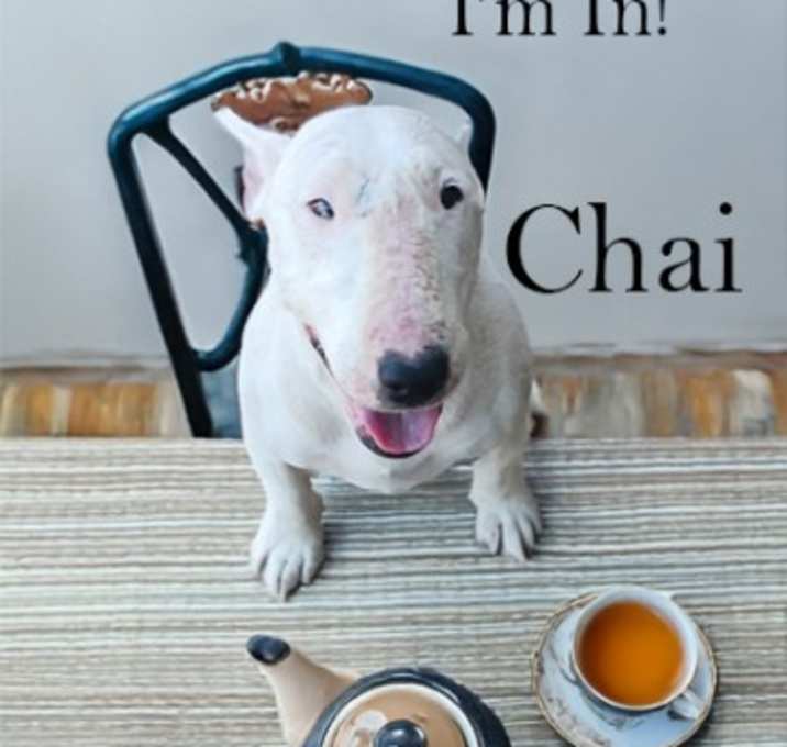 Photo of Chai