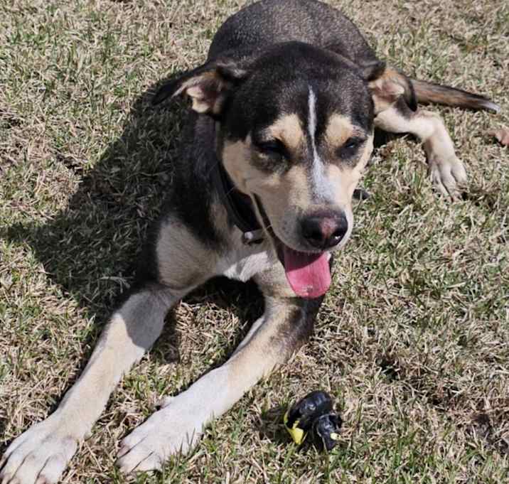 Photo of Kaiya