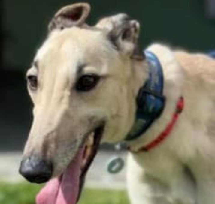 Photo of Shazza