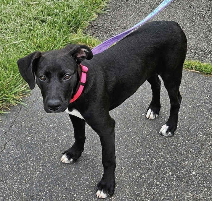 Photo of Penny Lane
