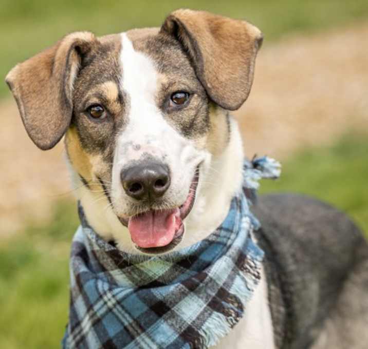 Photo of Benny