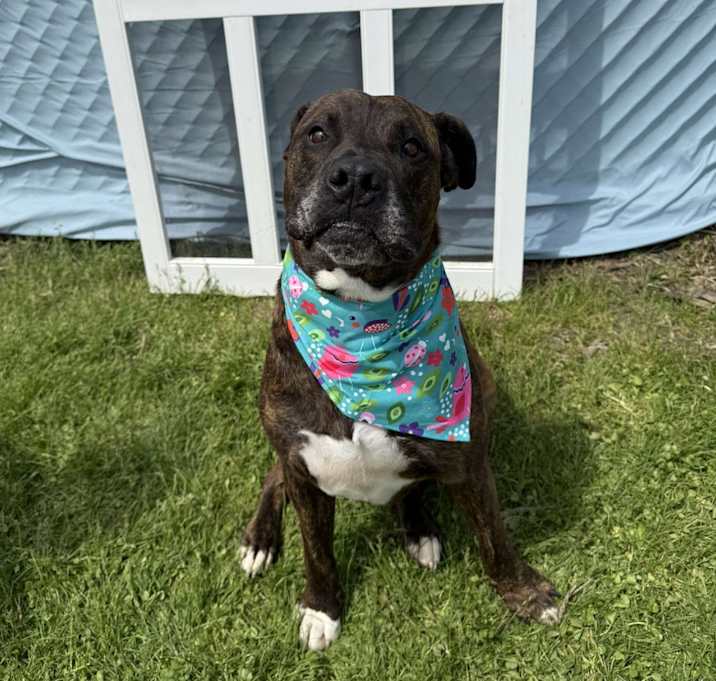 Photo of Roscoe