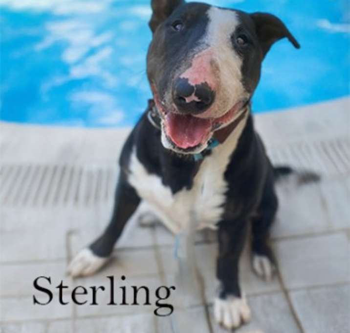 Photo of Sterling