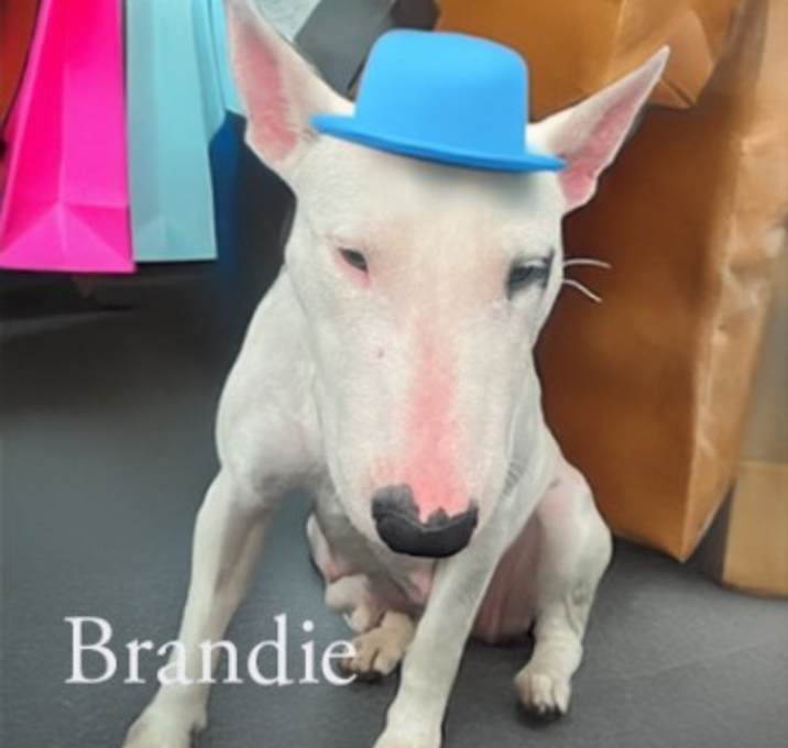 Photo of Brandie