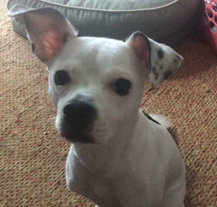 Photo of Jorja