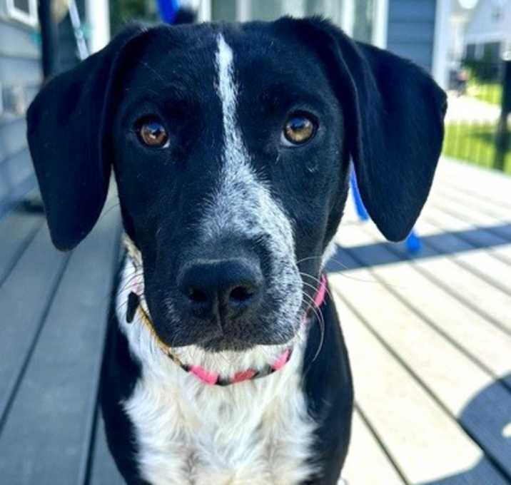 Photo of Wilma