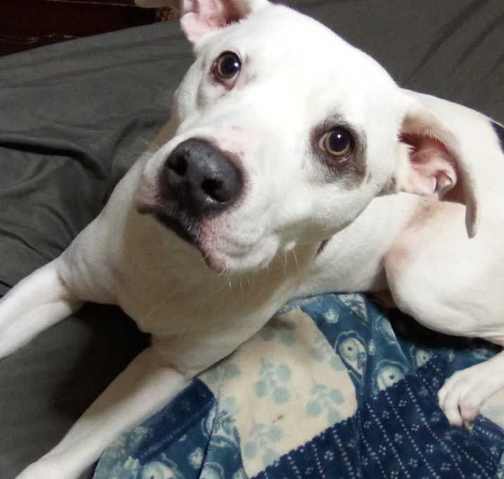Photo of Zeus