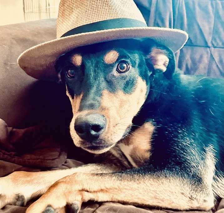 Photo of Finn
