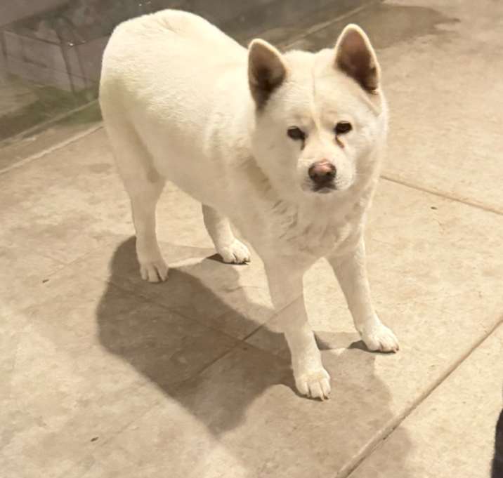 Photo of duo bao