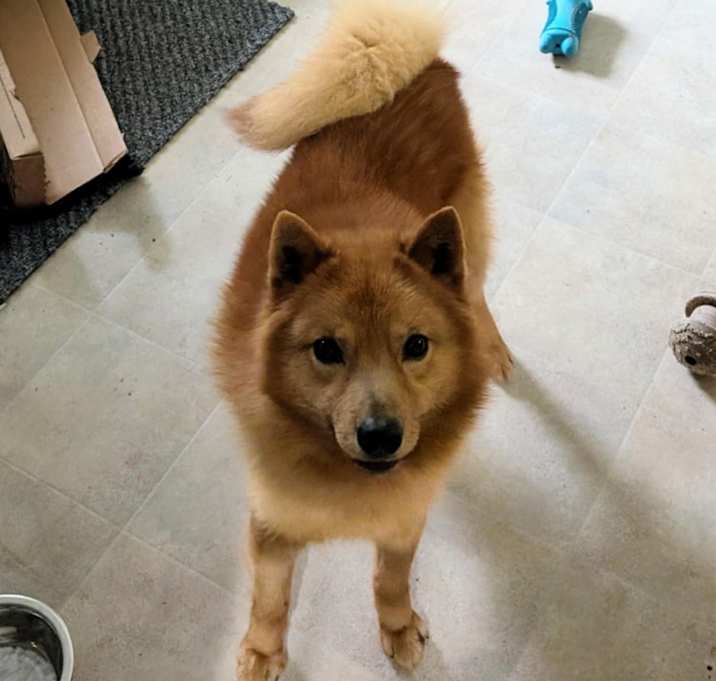 Photo of Nyx