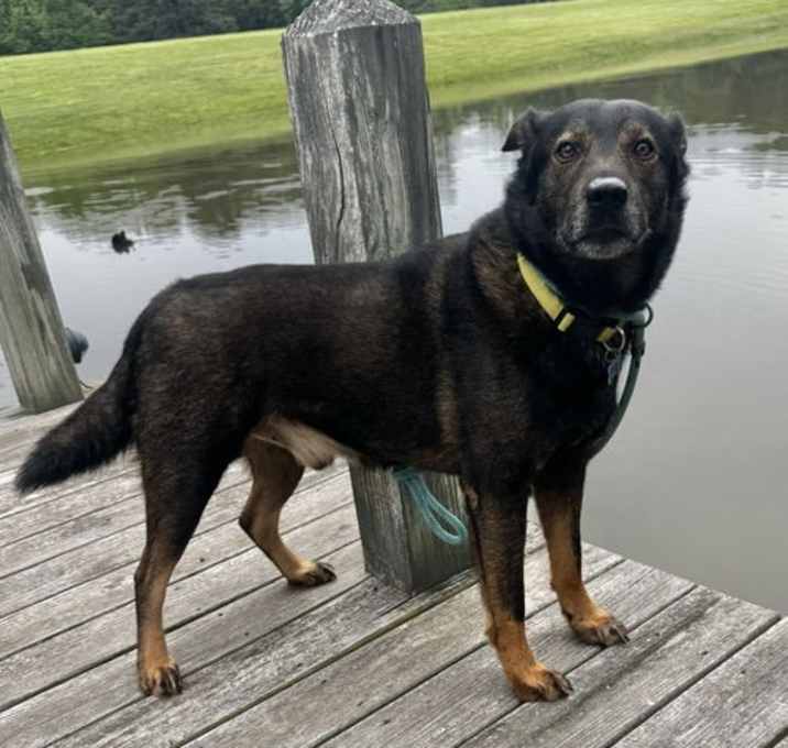 Photo of Echo