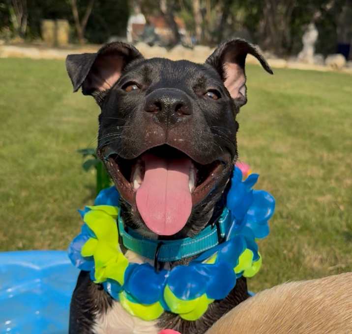 Photo of Cowboy
