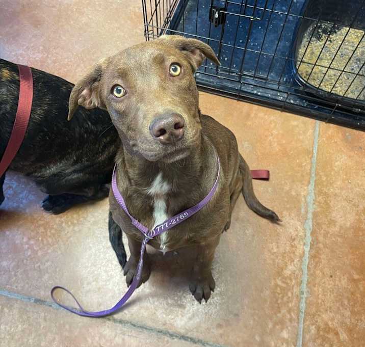 Photo of Hershey