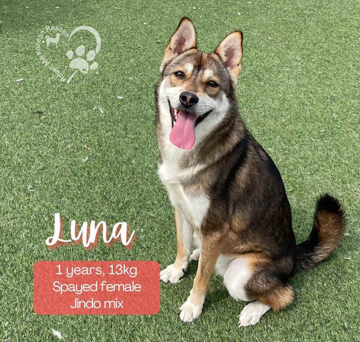 Photo of Luna