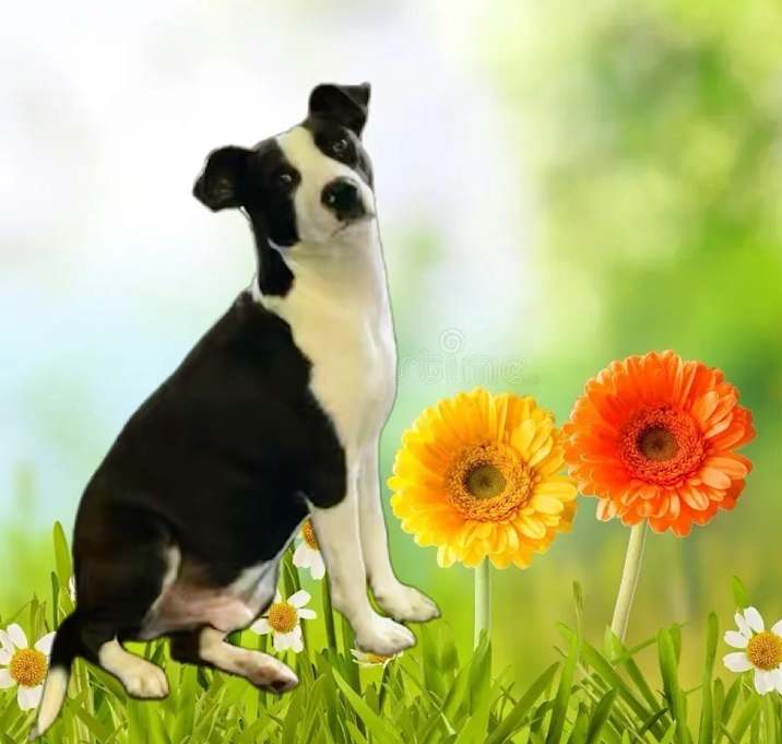 Photo of Mel