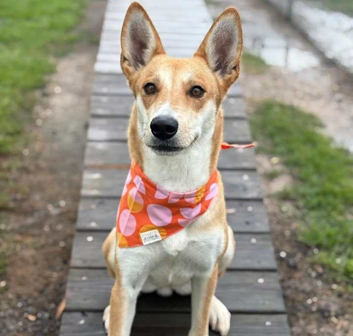 Photo of Winnie
