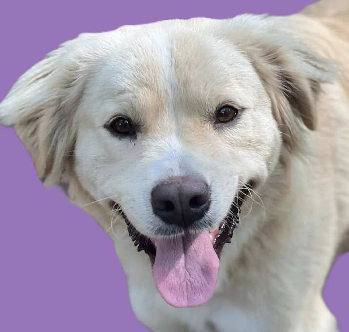 Photo of Captain