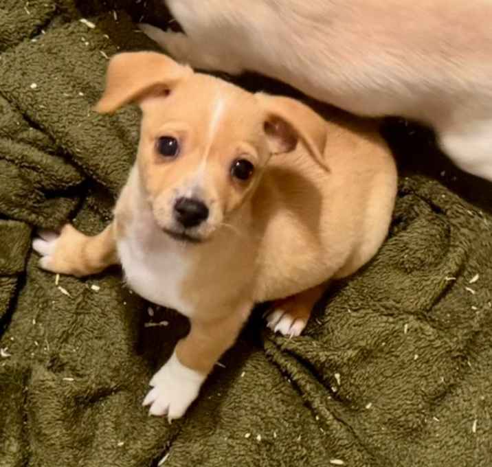 Photo of Jack