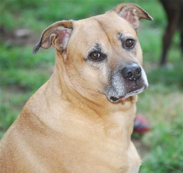 Photo of Frankie