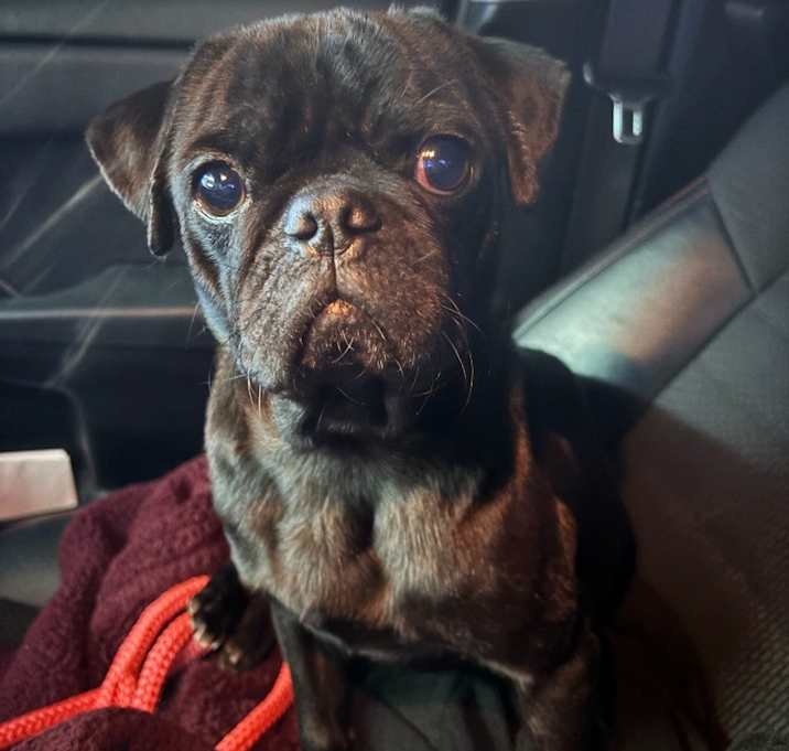 Photo of Otto