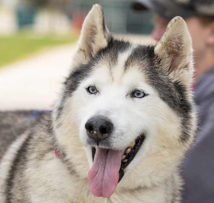 Photo of Ninja