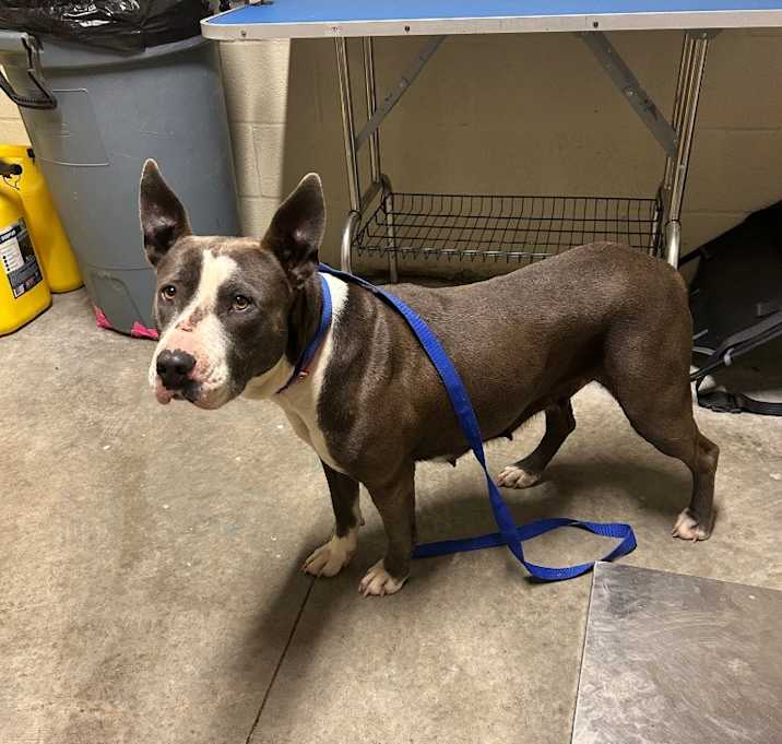 Photo of Sienna