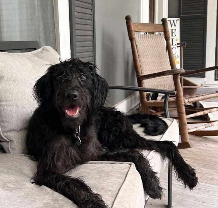 Photo of Winnie