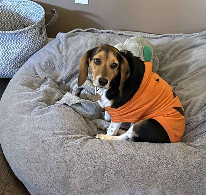 Photo of Reese