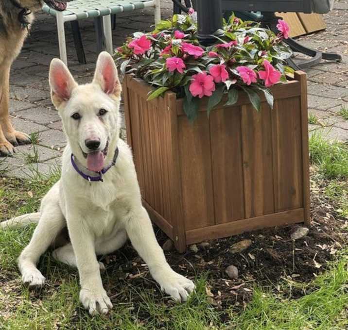 Photo of Kai