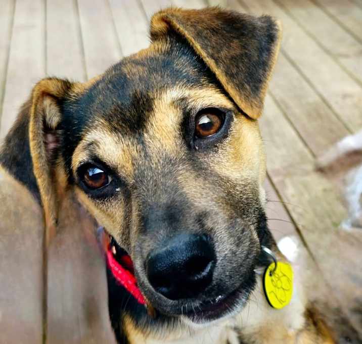 Photo of Ruckus