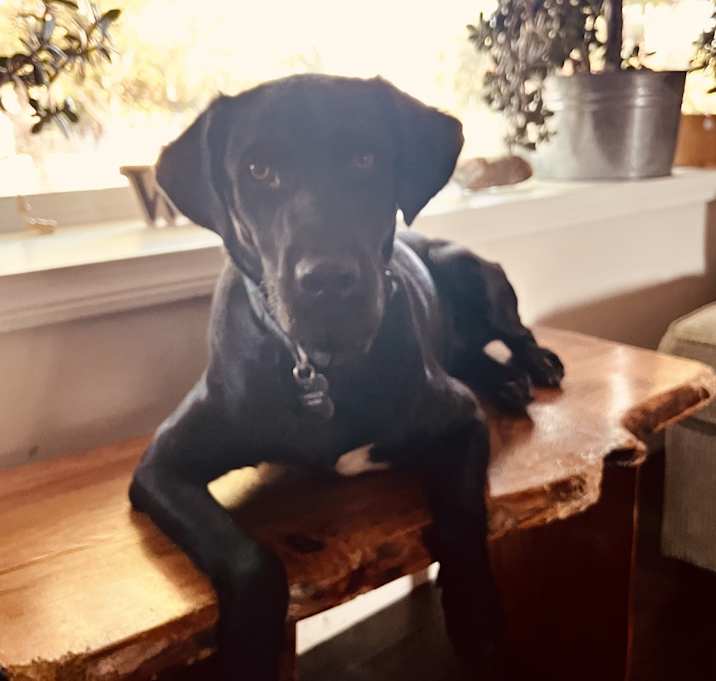 Photo of Charlie