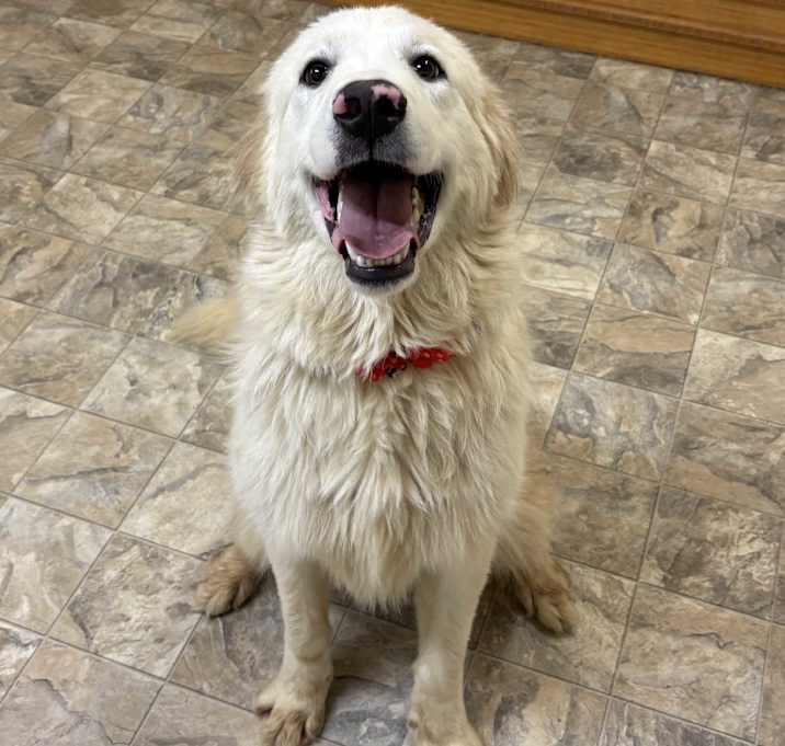 Photo of Snowflake