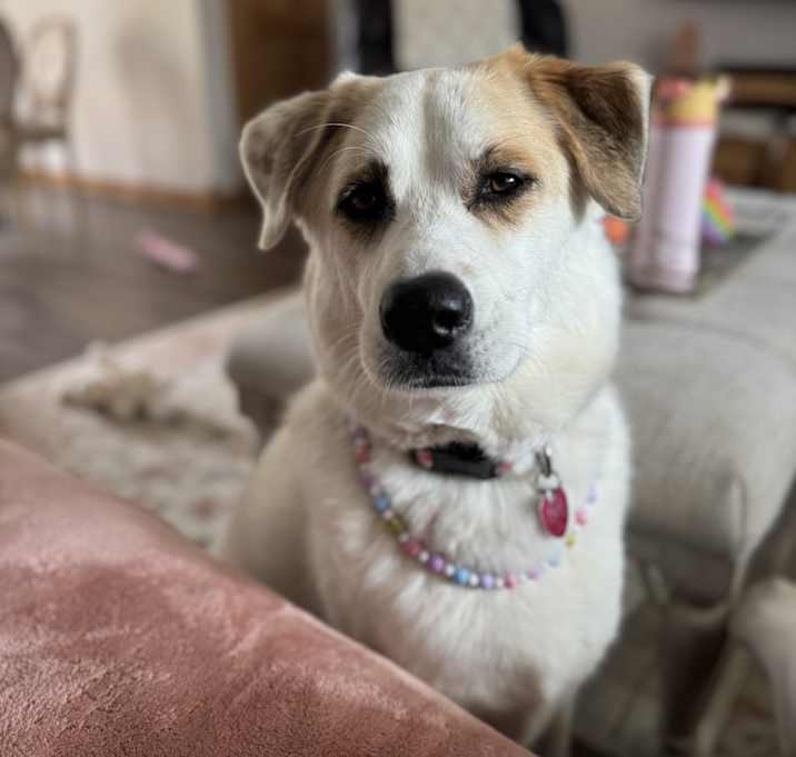 Photo of Oakley