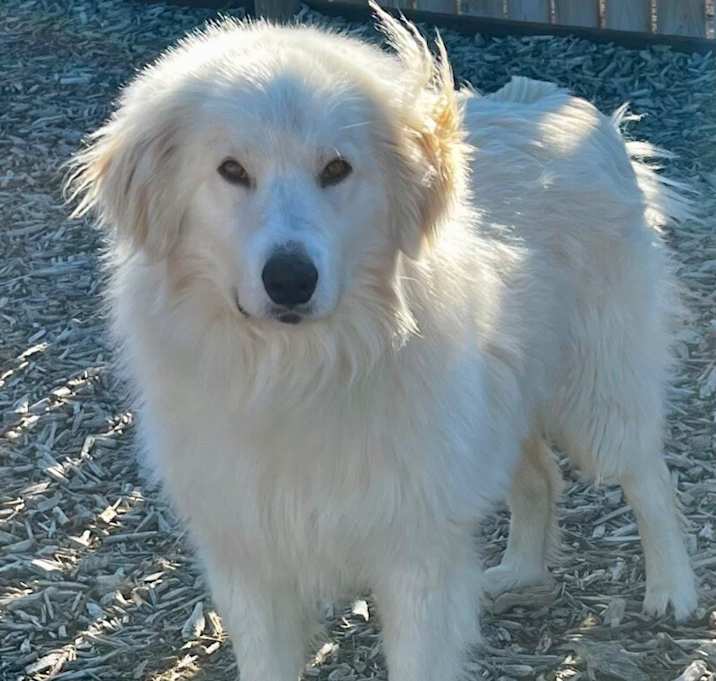 Photo of Charlie