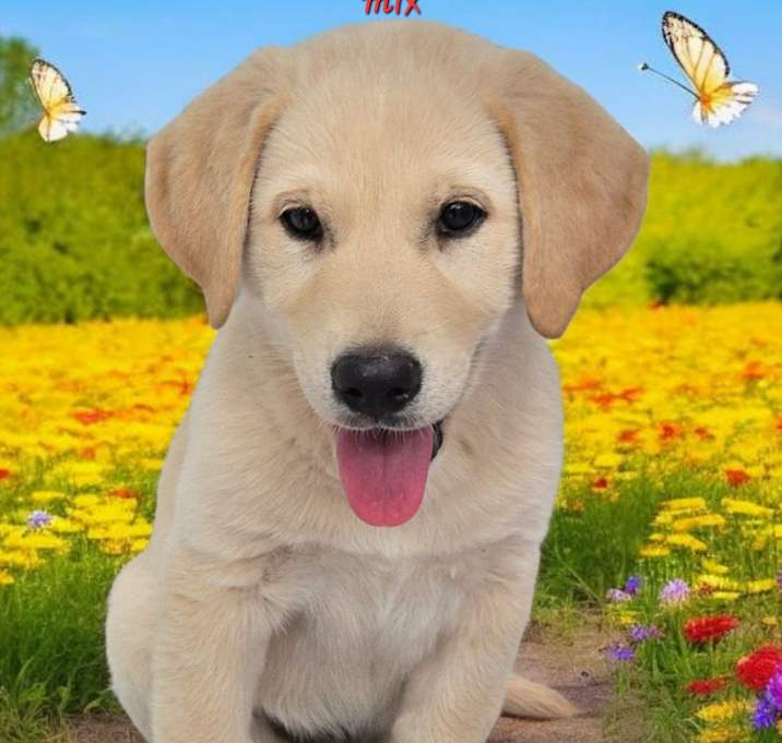 Photo of Luigi