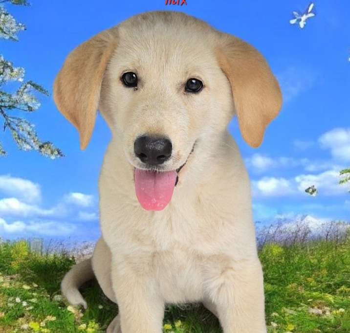 Photo of Mario