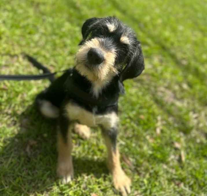 Photo of Bert