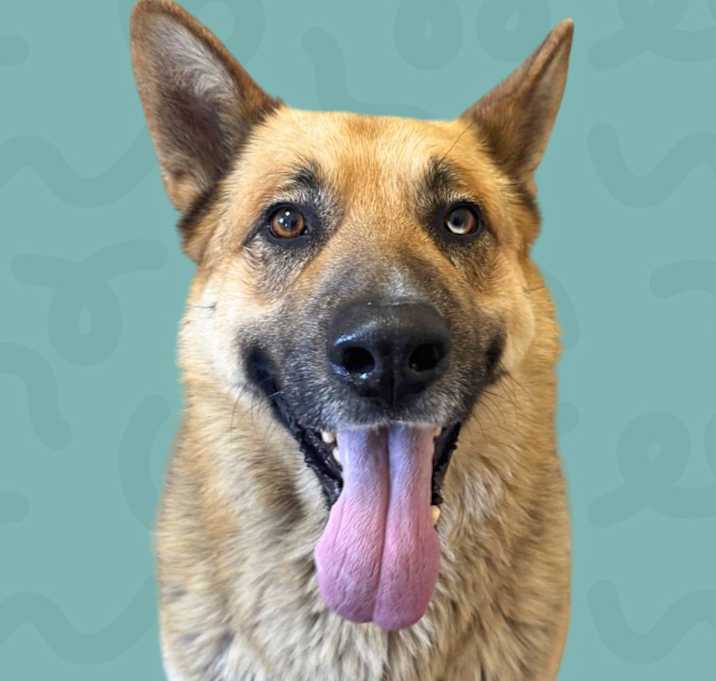Photo of Sam