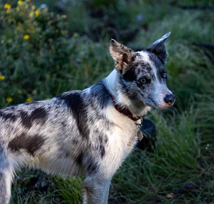 Photo of Addie