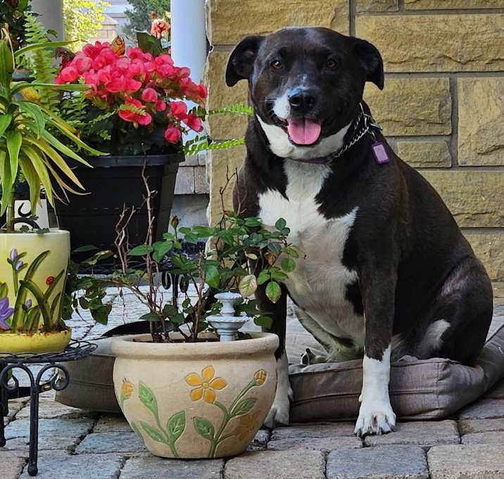 Photo of Lulu
