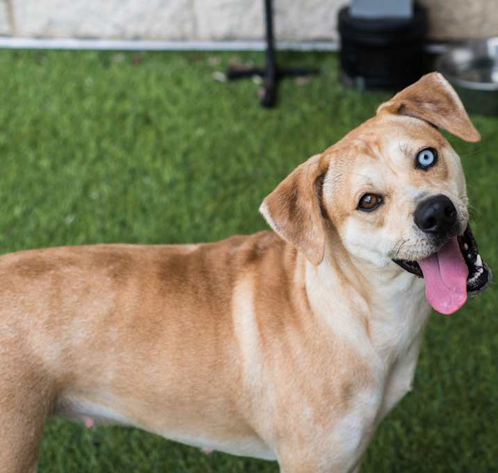 Photo of Furiosa